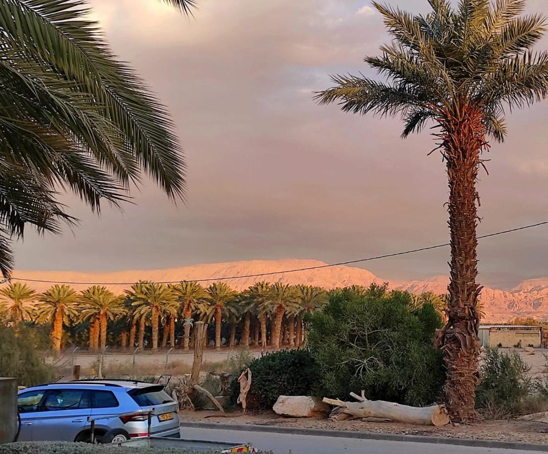 Belfer'S Dead Sea Cabins Neot HaKikar 외부 사진