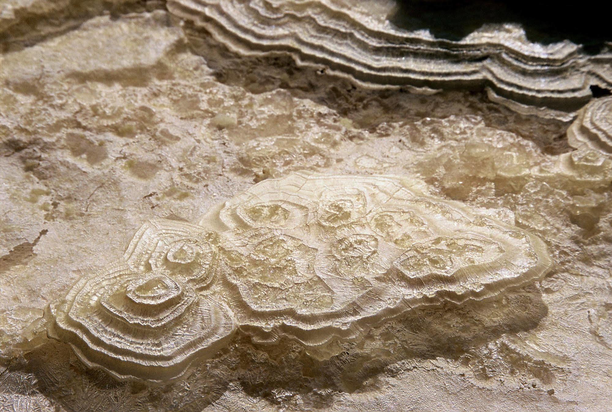 Belfer'S Dead Sea Cabins Neot HaKikar 외부 사진